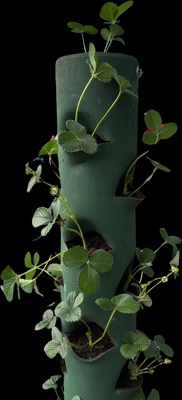 Tubo Macetero Vertical Vacio Artesanal